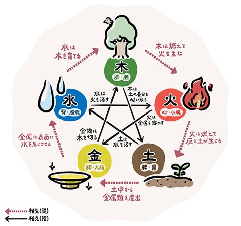 五行色体表 pdf|五行色体表 五行 木 火 土 金 水 自然界 色 青 赤 黄 白 黒 化 生 長 化 収 蔵 冬 腑 胆 小腸 胃 大腸 膀胱